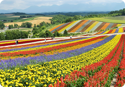 hokkaido-photo